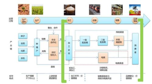 梧桐树资本董帅 从中美日产业结构差异,看冻品b2b行业的商业模式迭代