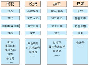 让消费者购买更放心 麦德龙b2b2c全链条追溯系统