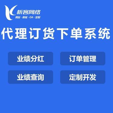 区域代理系统开发