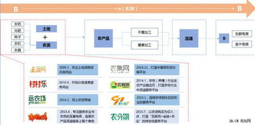 2015年B2B批发系统开发 互联网农业变革的引擎