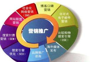 兰州网络推广公司类型及B2B批发系统开发解析